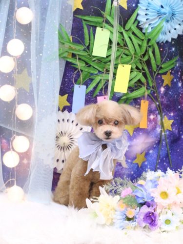 20250701モカくん